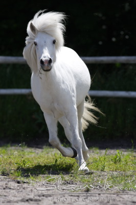 staj_ufonek3407.jpg