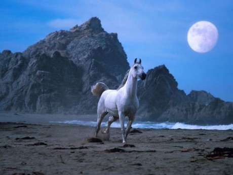 Moon.jpg
